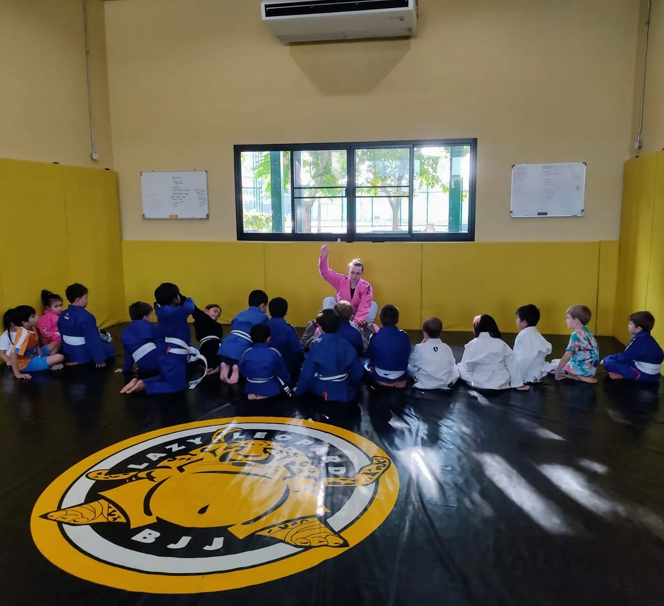 BJJ sparring session with professional coaching