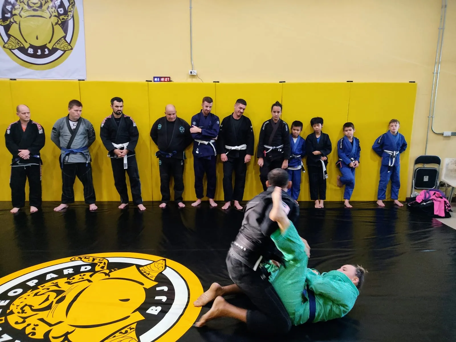 BJJ training session with experienced instructors