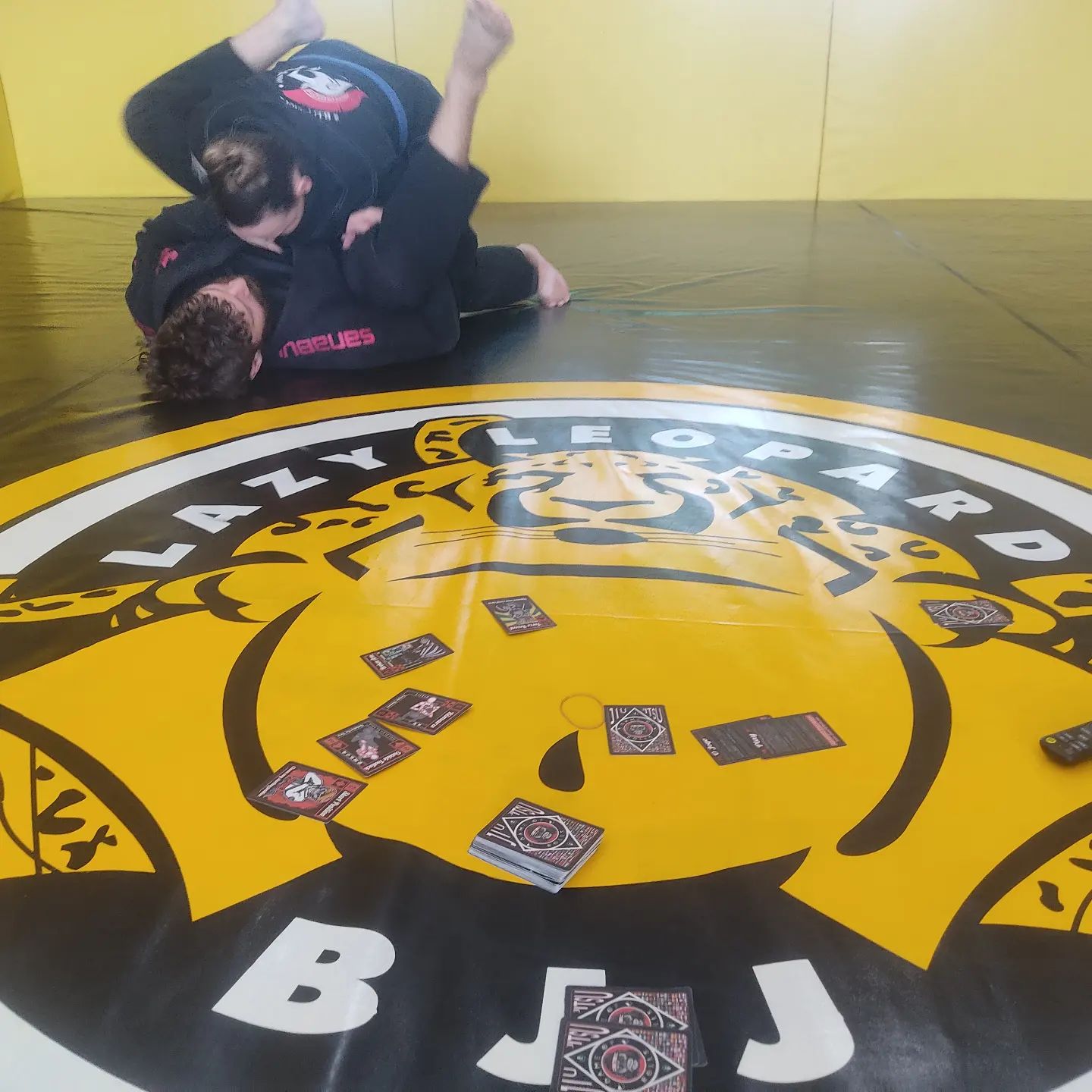 BJJ card game